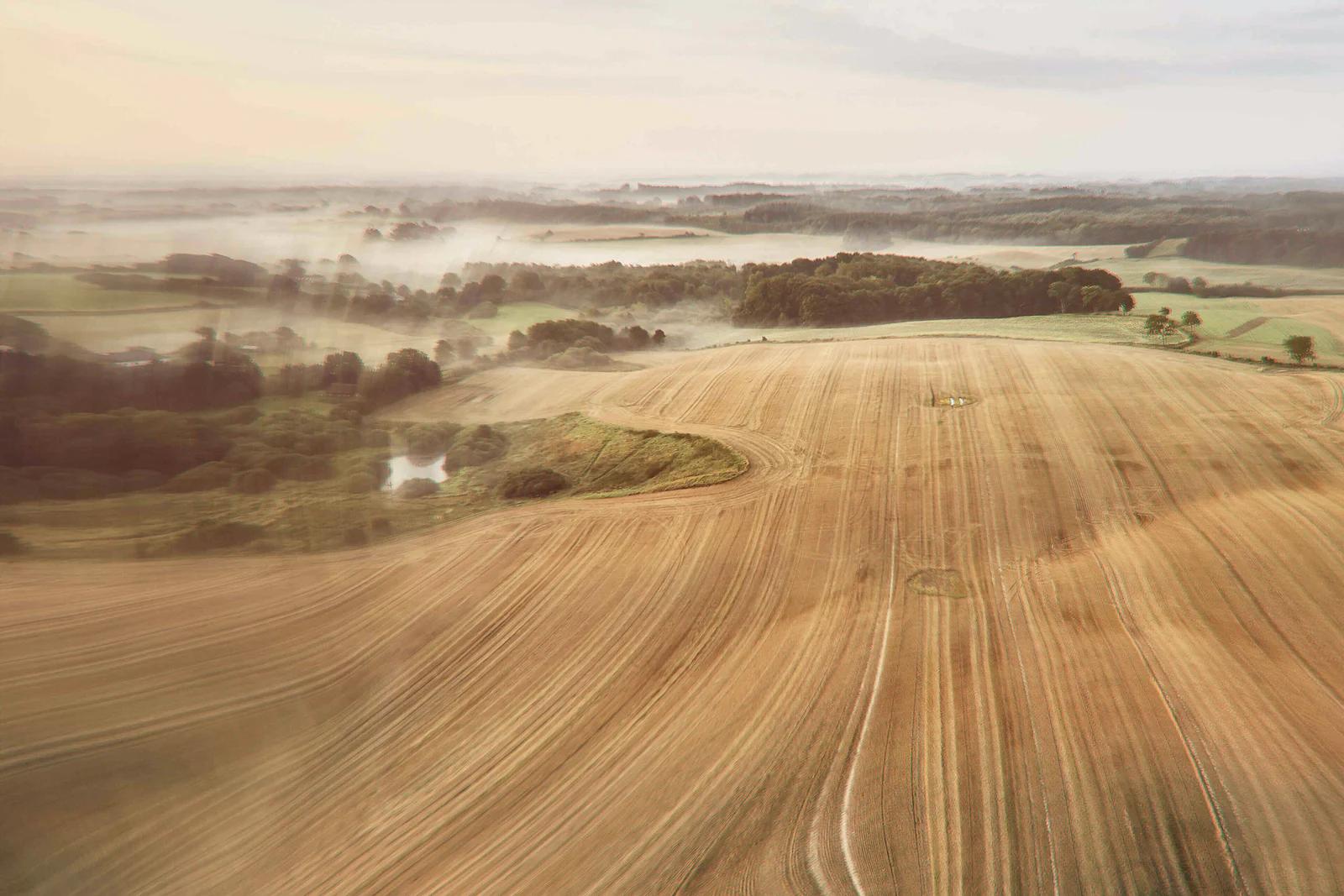 Field during fall